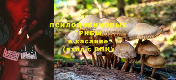 мяу мяу мука Новокубанск