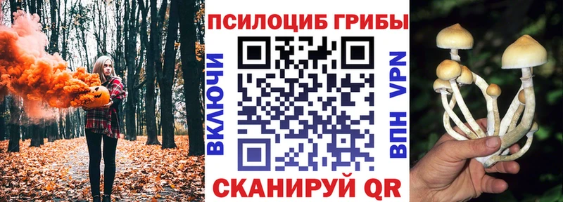 купить наркотик  Очёр  маркетплейс Telegram  Псилоцибиновые грибы GOLDEN TEACHER 